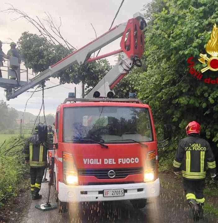 Quarona: Albero pericolante su cavi della luce, messa in sicurezza a cura dei Vigili del Fuoco