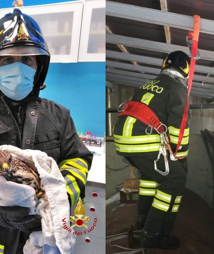 I Vigili del Fuoco durante e dopo il soccorso