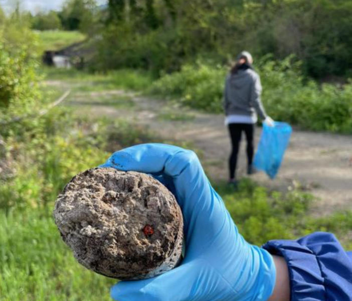 Quarona, volontari in azione per ripulire le sponde del Sesia - FOTO