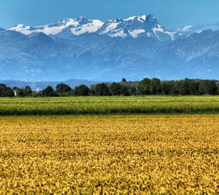 Lo splendido panorama delle risaie