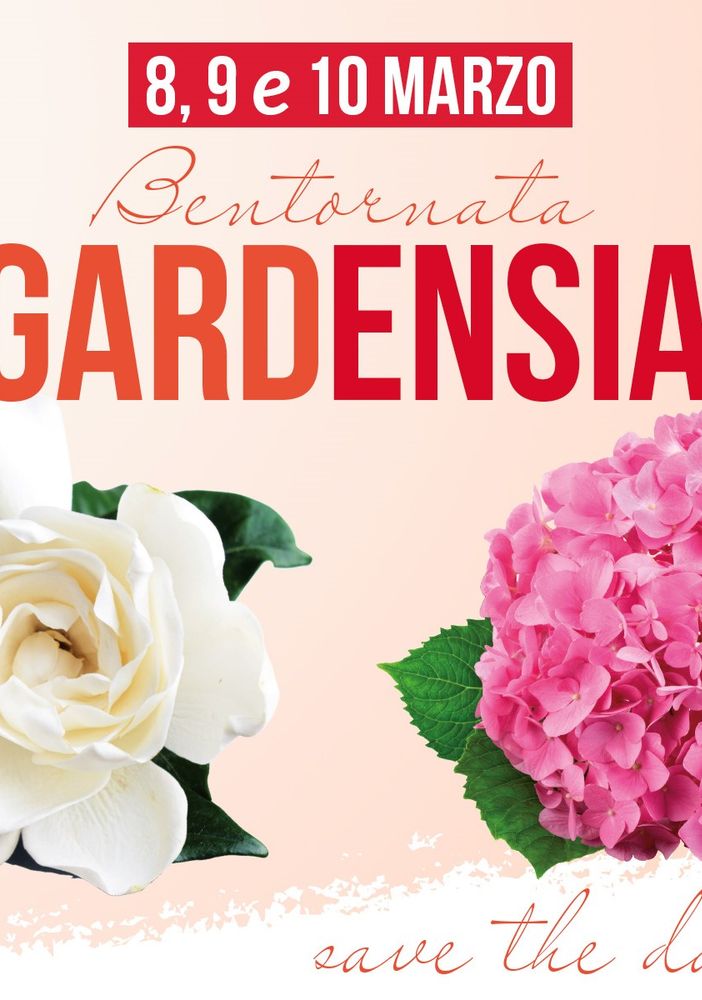 Bentornata Gardensia AISM 2024. il 9 e 10 marzo nelle piazze della Valsesia