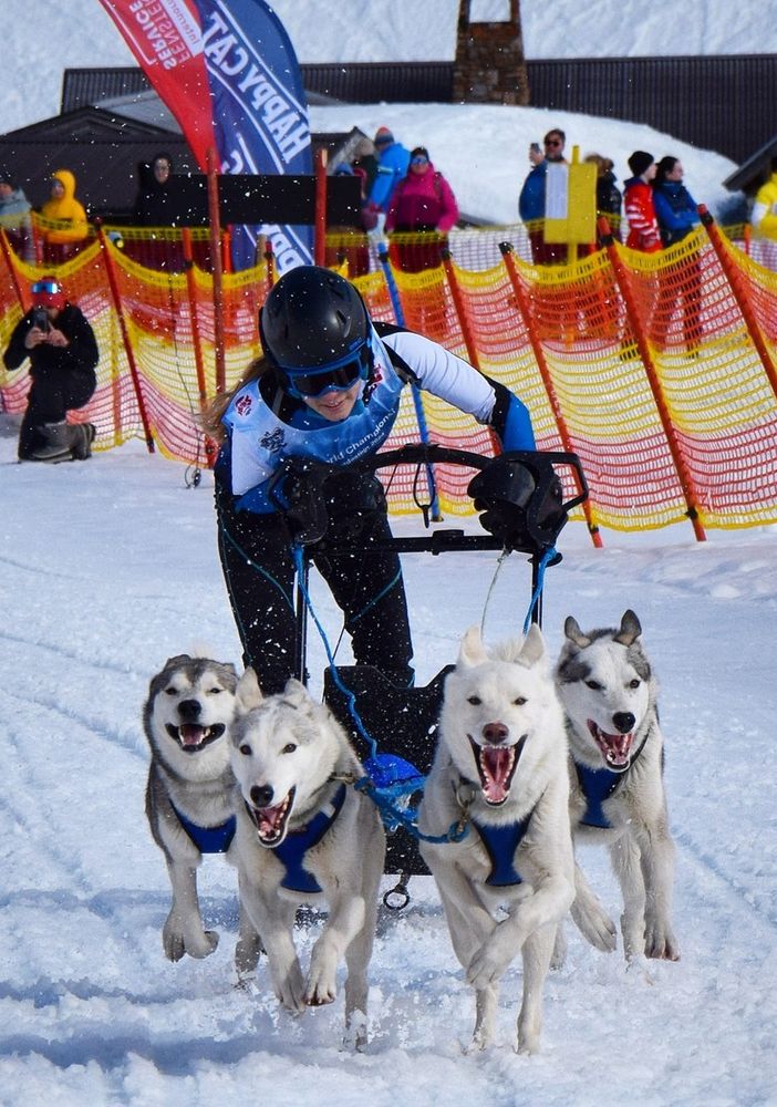 Valentina Durio vince la coppa del mondo di sleddog
