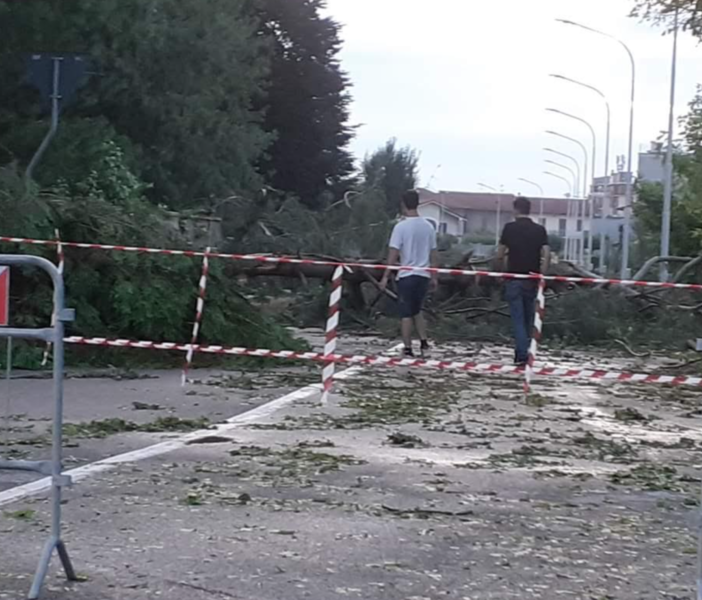 Vercellese devastato dal maltempo: chiesto lo stato d'emergenza