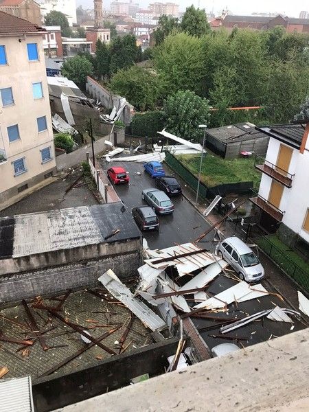 Vercelli: Ordinanza di chiusura per viali e parchi: controllo straordinario sulle alberate