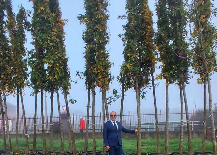Vercelli, consegnate 288 piante per Corso Avogadro di Quaregna.