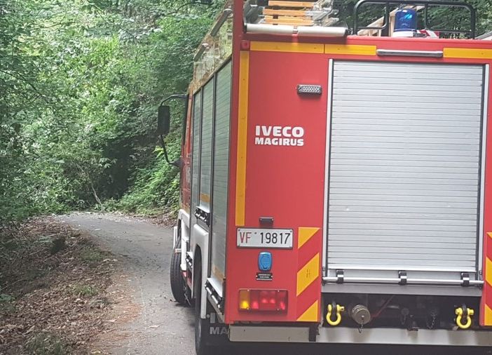 Cercatore di funghi si perde nei boschi di Coggiola, allarme all'Alpe Noveis (foto di repertorio)