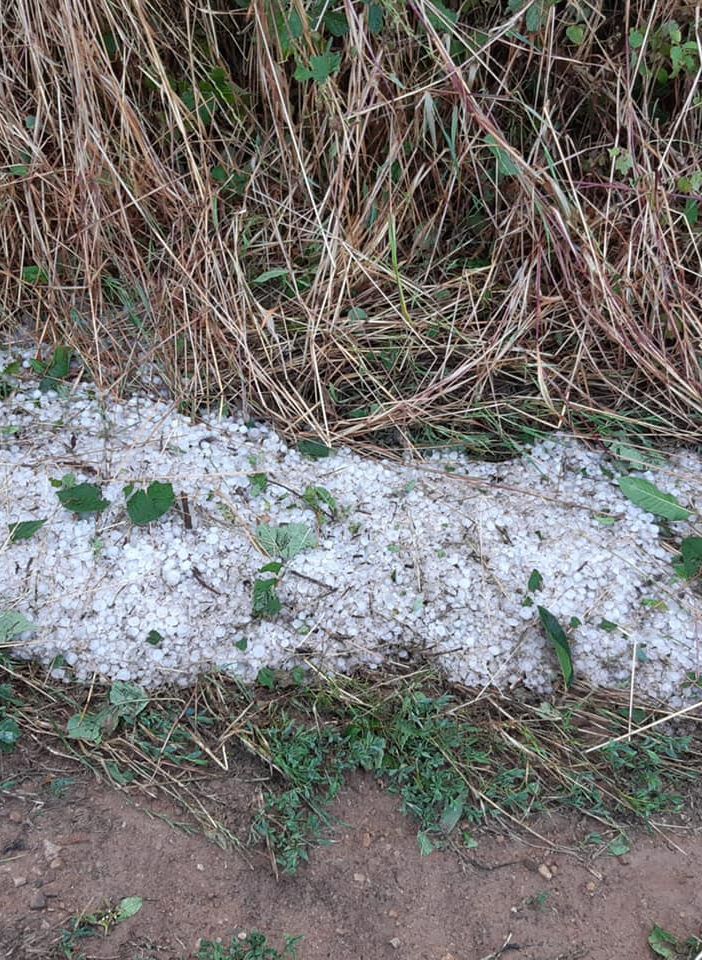Gattinara: Pochi minuti di grandine hanno distrutto un anno di lavoro