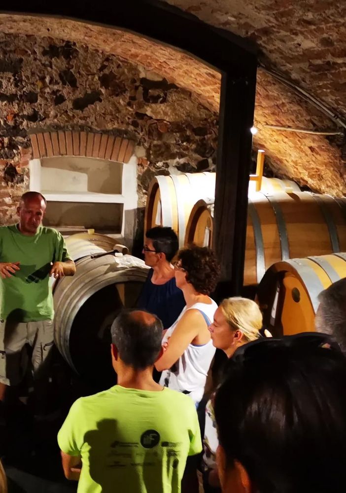 Degustazione con visita a vigne in Valsessera, ricco programma in cantiere per la Pro Loco Ailoche FOTO
