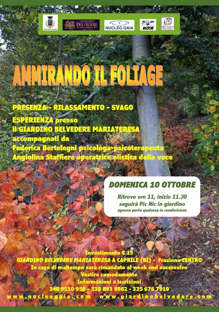 Caprile, un’esperienza risanante nel paesaggio autunnale
