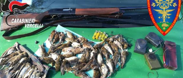 Parte del sequestro da parte dei carabinieri forestali Parte del sequestro da parte dei carabinieri forestali