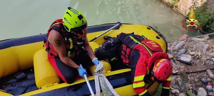 Recuperata la salma del gattinarese scomparso a maggio