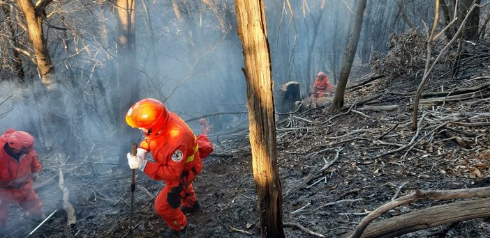Operatori AIB durante l'intervento a Gattinara Operatori AIB durante l'intervento a Gattinara