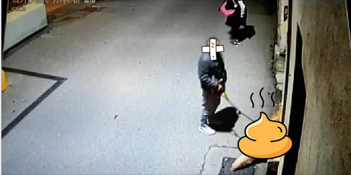 Non pulisce gli escrementi del cane: rischia 800 euro di multa Non pulisce gli escrementi del cane: rischia 800 euro di multa
