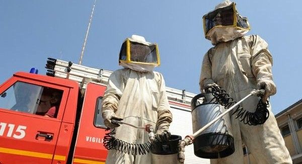 Api, vespe e calabroni, quando chiamare i Vigili del Fuoco Api, vespe e calabroni, quando chiamare i Vigili del Fuoco