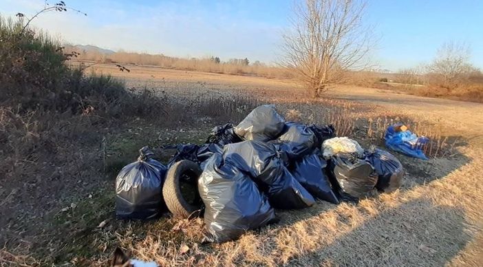 Sacchi di rifiuti abbandonati in mezzo alla campagna di Ghemme