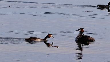 Acqua è vita, storie di risorse e speranze dal mondo: se ne parla a Città Studi Acqua è vita, storie di risorse e speranze dal mondo: se ne parla a Città Studi