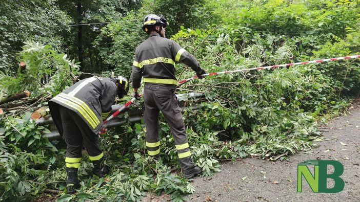 Forte vento sul Biellese, nuovi disagi: a terra piante a Miagliano e in Valsessera (foto di repertorio) Forte vento sul Biellese, nuovi disagi: a terra piante a Miagliano e in Valsessera (foto di repertorio)