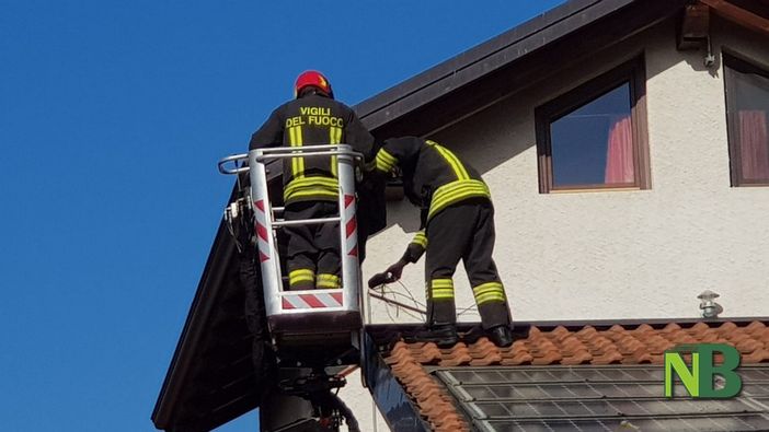 Foto Fighera Foto Fighera