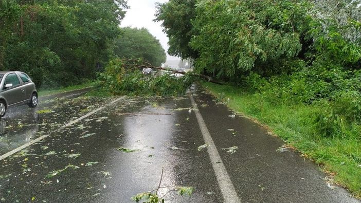 Maltempo: piante su strada, allagamenti, molti interventi dei Vigili del Fuoco nella notte, foto archivio Maltempo: piante su strada, allagamenti, molti interventi dei Vigili del Fuoco nella notte, foto archivio