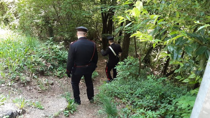 Ladro in fuga tra i tifosi in attesa del Giro: arrestato dopo un inseguimento tra i boschi Ladro in fuga tra i tifosi in attesa del Giro: arrestato dopo un inseguimento tra i boschi