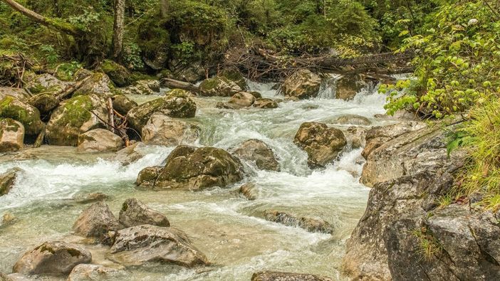Legna gratuita per i cittadini: Varallo e Quarona lanciano l’iniziativa per pulire gli argini