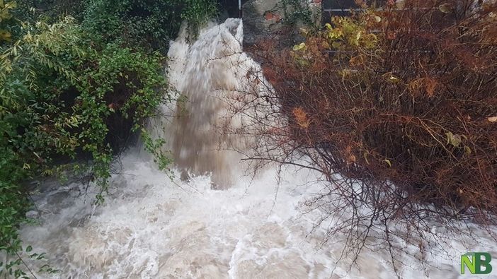 Maltempo, è di nuovo allerta gialla con temporali e rovesci