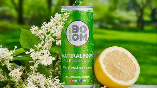 Bevanda al sambuco: proprietà e consigli d'uso