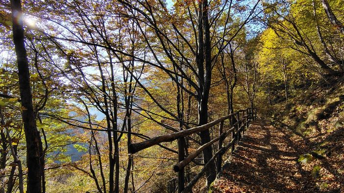 Sentieri tra Campello Monti, Rimella e il Vallone di Roj: finanziato il progetto di ripristino nella Valsesia