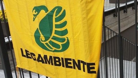 Porte spalancate nei negozi, l'appello di Legambiente: “Uno spreco energetico assurdo che deve terminare” Porte spalancate nei negozi, l'appello di Legambiente: “Uno spreco energetico assurdo che deve terminare”