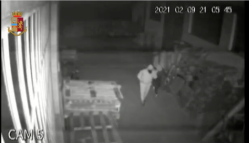 Così la banda assaltava i magazzini di alcolici e prodotti ittici: 100mila euro il bottino - VIDEO Così la banda assaltava i magazzini di alcolici e prodotti ittici: 100mila euro il bottino - VIDEO