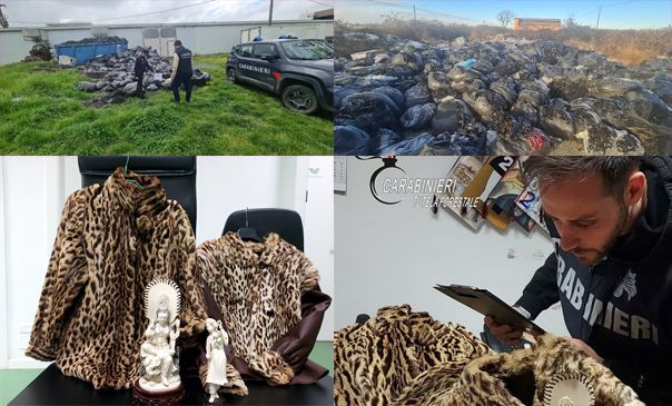 Tutela ambientale, Vercellese in prima linea: 2.565 controlli dei Forestali nel 2025 Tutela ambientale, Vercellese in prima linea: 2.565 controlli dei Forestali nel 2025