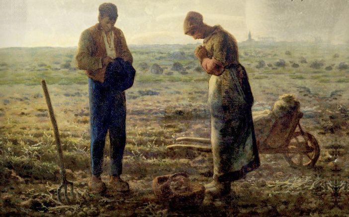 Coldiretti Vercelli - Biella celebra la 69esima giornata del Ringraziamento Coldiretti Vercelli - Biella celebra la 69esima giornata del Ringraziamento