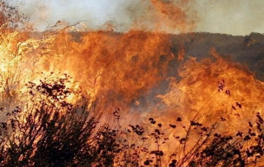 Foto di repertorio