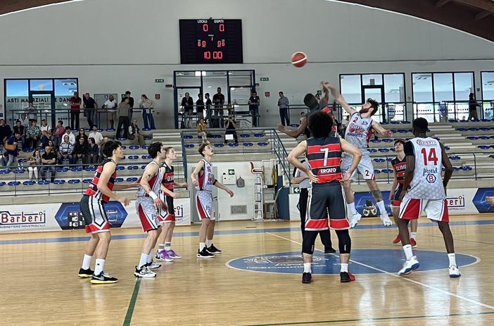 Barberi Valsesia Basket, semaforo rosso contro Alba: 66 - 73.
