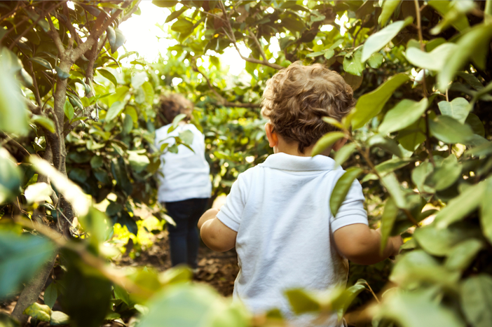 Nati con la Natura: nel verde si cresce meglio, dallo sviluppo alle relazioni sociali. Nati con la Natura: nel verde si cresce meglio, dallo sviluppo alle relazioni sociali.