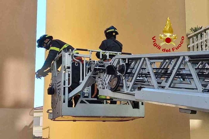A Vercelli crollo di calcinacci da uno stabile