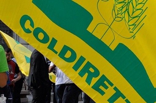 Riceviamo e pubblichiamo: Coldiretti Vercelli-Biella - Ue: il piano Von Der Leyen affama l’Europa