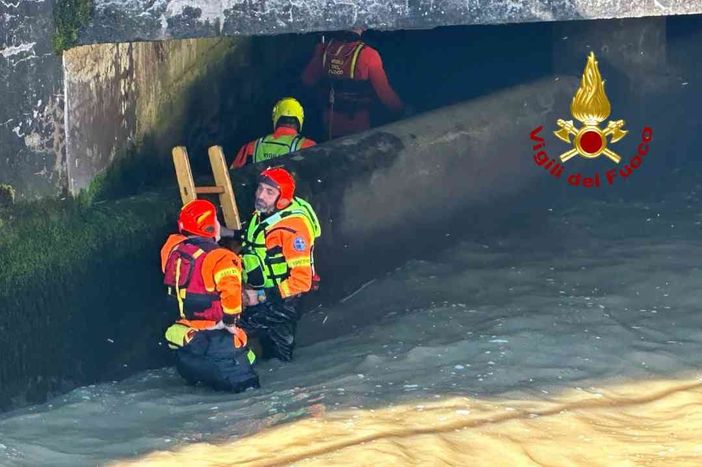 Ricerche a Santhià per una persona scomparsa FOTO e VIDEO Ricerche a Santhià per una persona scomparsa FOTO e VIDEO