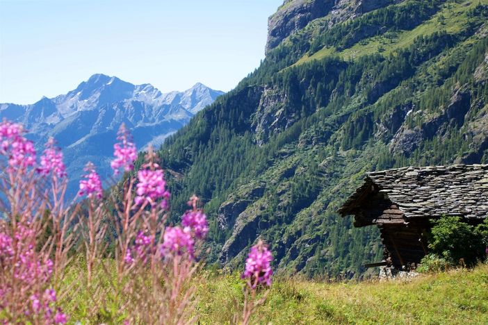 Alla scoperta della Val Grande