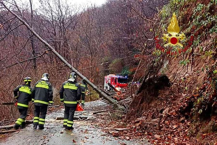 La pioggia causa i primi danni: smottamento nei pressi di Valduggia La pioggia causa i primi danni: smottamento nei pressi di Valduggia