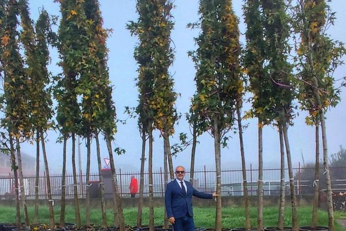 Vercelli, consegnate 288 piante per Corso Avogadro di Quaregna. Vercelli, consegnate 288 piante per Corso Avogadro di Quaregna.