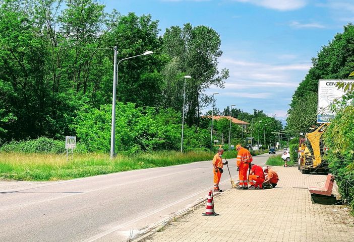 Gattinara: Partiti i lavori per la sistemazione dei marciapiedi in diversi punti della Città Gattinara: Partiti i lavori per la sistemazione dei marciapiedi in diversi punti della Città