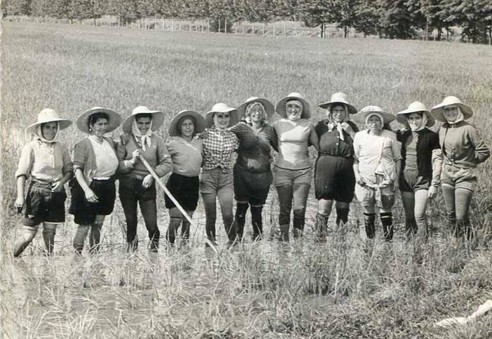 Mondine: donne, risaie e rivoluzioni sociali tra Piemonte e Lombardia