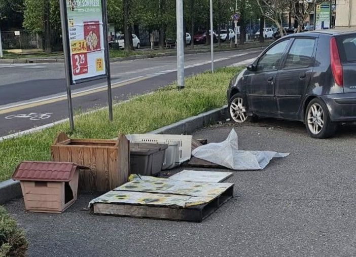 Vercelli: Sabotava la colonia felina, denunciata un'anziana