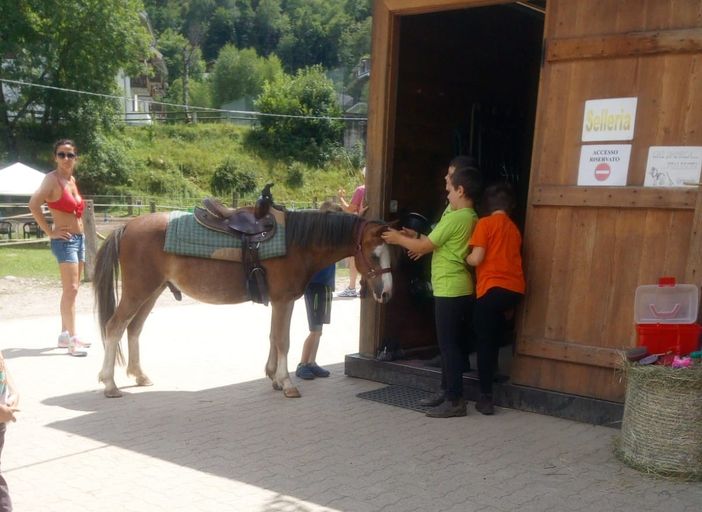 Scopello: Tanti bambini per il battesimo del cavallo al centro ippico