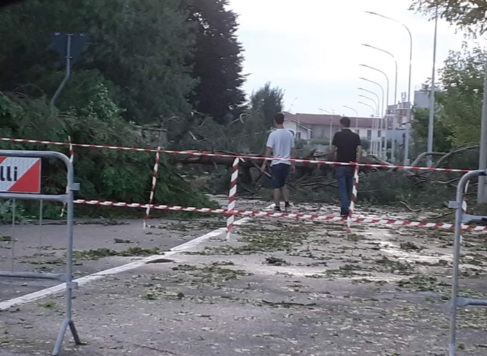 Vercellese devastato dal maltempo: chiesto lo stato d'emergenza