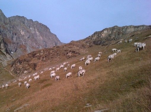 Poca pioggia e poca neve a gennaio 2019 in Piemonte: precipitazioni inferiori dell'84% rispetto alla media degli anni 1971-2000 Poca pioggia e poca neve a gennaio 2019 in Piemonte: precipitazioni inferiori dell'84% rispetto alla media degli anni 1971-2000