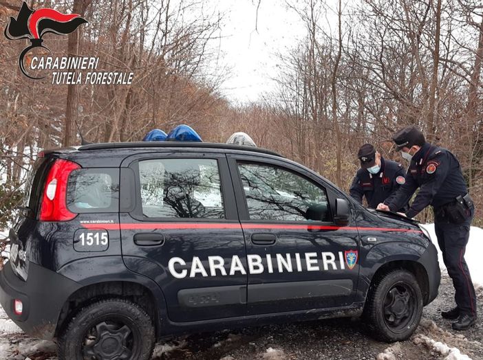 Borgosesia: Titolare di impresa edile denunciato per discarica abusiva di rifiuti speciali