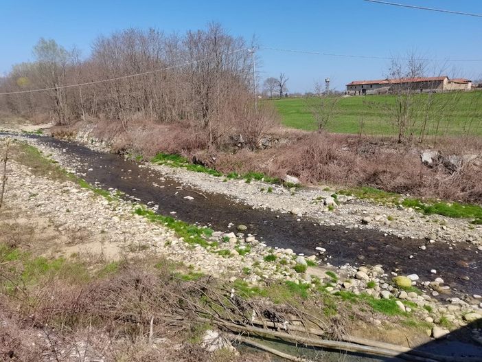 Siccità e caldo record, l’allarme degli artigiani piemontesi: "A rischio migliaia di imprese" Siccità e caldo record, l’allarme degli artigiani piemontesi: "A rischio migliaia di imprese"