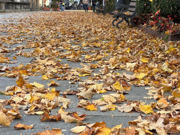Varallo, l’Allea nel degrado: cresce il malcontento per la scarsa cura degli spazi pubblici